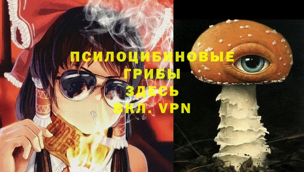 дживик Наволоки