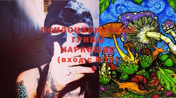 гидропоника Надым